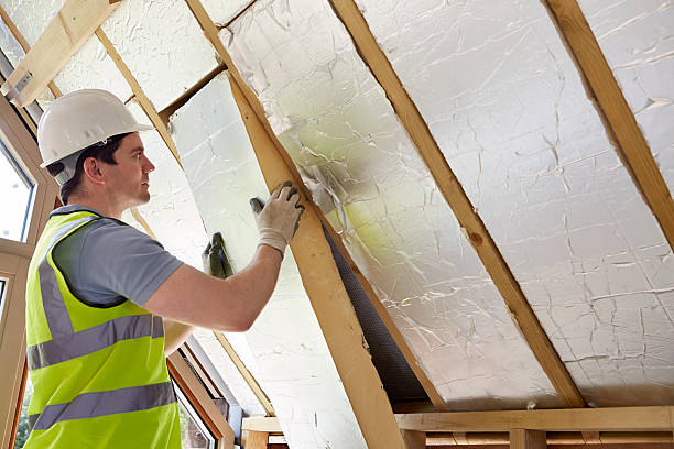 Best Insulation Replacement Services  in Kalida, OH